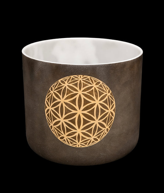 Alchemy Crystal Singing Bowl - Ebony Angel Gold w/Divine Flower of Life - C4 268Hz 8" C16240