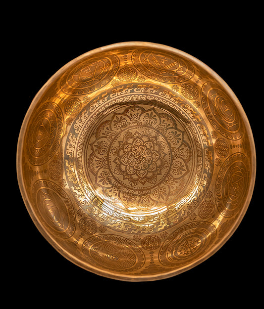 New Etched Thadobati Lotus Singing Bowl F3 170Hz 9" N16214