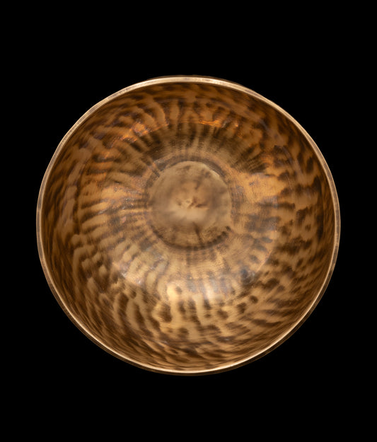 New Thadobati Singing Bowl F# 185Hz (Concert Pitch) 7.75" N15966
