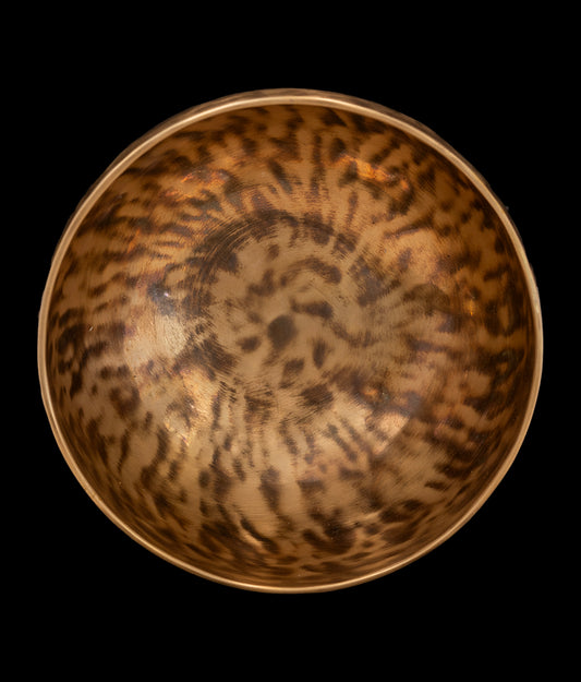 New Thadobati Singing Bowl - G3 193Hz 7 1/4" N15967