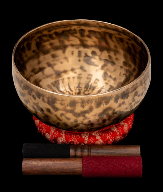 New Thadobati Singing Bowl D#3 156Hz 8 1/4" N15968