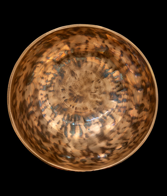 New Nya-Series Singing Bowl (Thadobati) - C3 128Hz 9 3/4" N15969