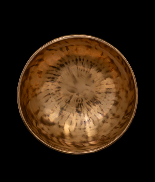 New Thadobati Singing Bowl G3 196Hz near concert pitch 8.25" N15988