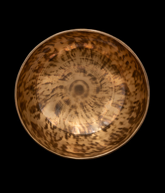 New Thadobati Singing Bowl G# 202Hz 8" N15989