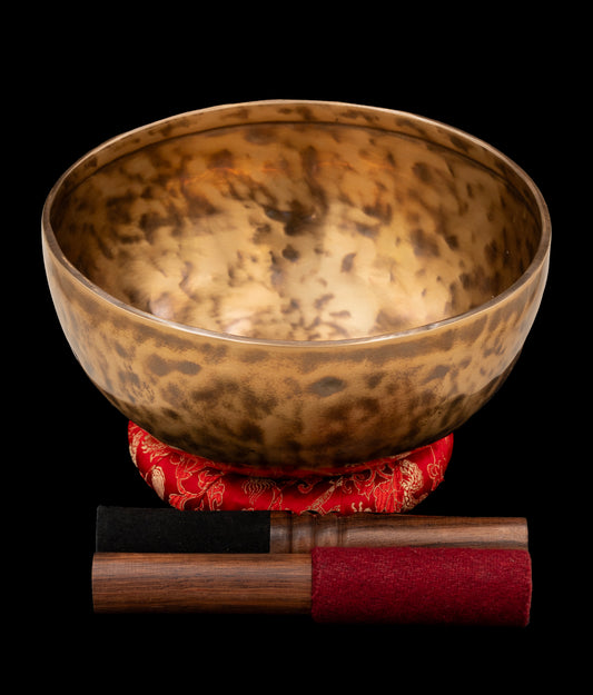 New Thadobati Singing Bowl D# 155Hz 8.5" N15990