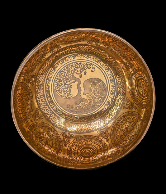New Etched Jambati Tree of Life Singing Bowl B2 122Hz 10.5" N16221