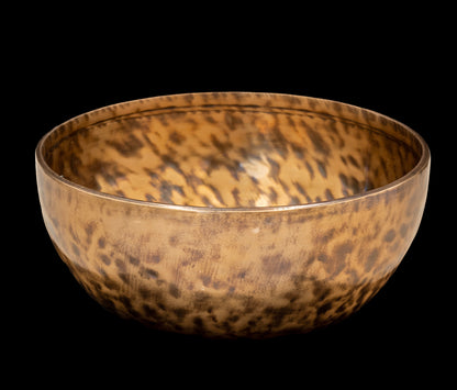 New Jambati Singing Bowl C 130Hz (Near Concert Pitch) 10" N15979