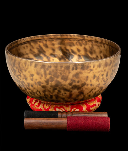 New Jambati Singing Bowl C 130Hz (Near Concert Pitch) 10" N15979