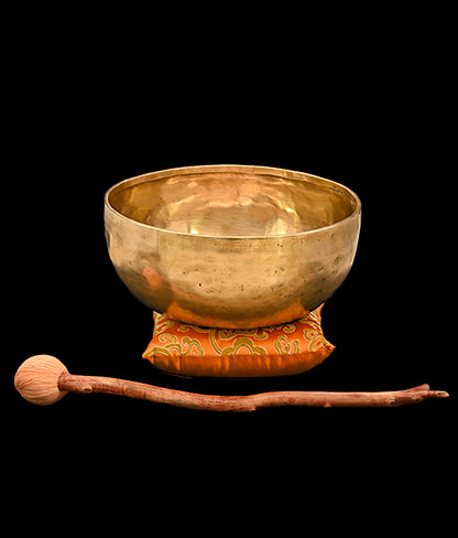 Consignment - Contemporary Thadobati Singing Bowl D#3 155Hz 8 1/2" - N16217