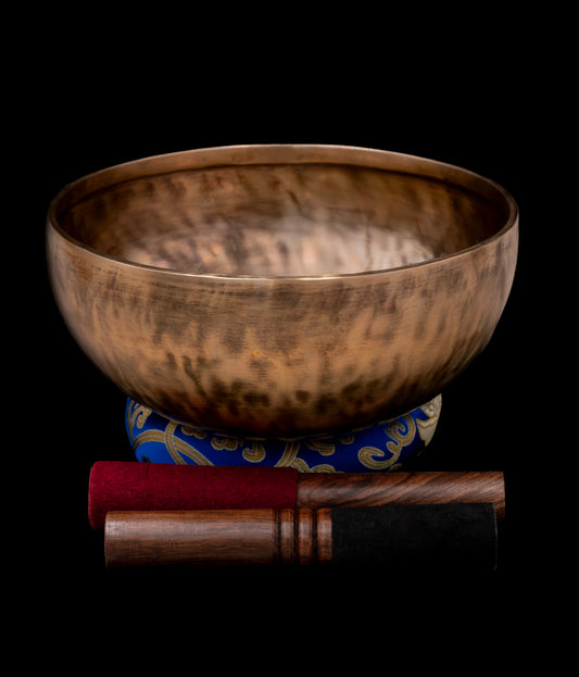New Tiger Finish Thadobati D#3 151Hz 9" N16456